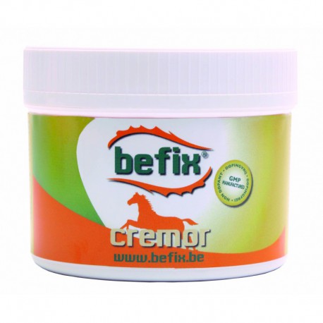 Cremor 500 gram Befix