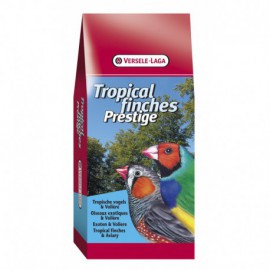 Tropische Vogels 4kg Prestige