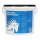 Psyllium 1 kg Pharmahorse