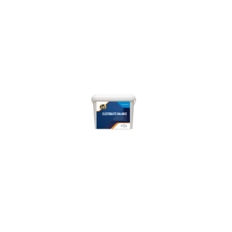 Electrolyte Balance 5 kg cavalor