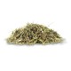 Lucerne Hartog