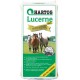 Lucerne Hartog