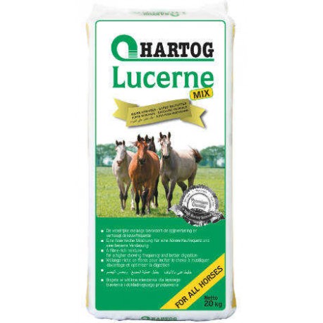 Lucerne Hartog
