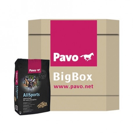 All-Sports Big Box 725 kg Pavo