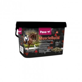 Muscle Build 3 kg Pavo