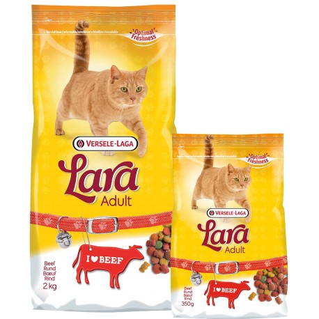 Adult Beef Flavour 1,9 kg Lara