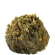 Crunchies 1.5kg Cavalor