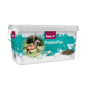 Protein Plus 7 kg Pavo