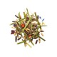 Wiesencobs 20kg Agrobs