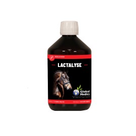 Lactalyse 400 ml Global Medics