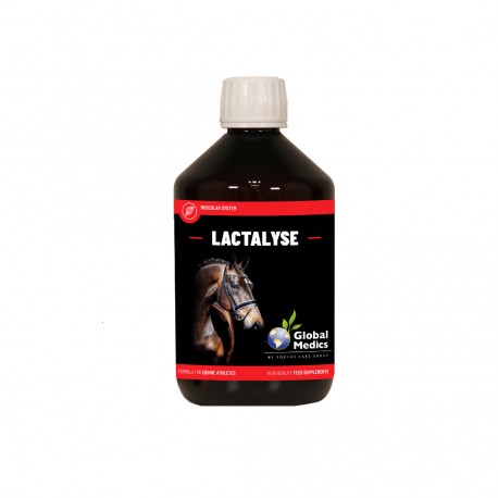 Lactalyse 400 ml Global Medics