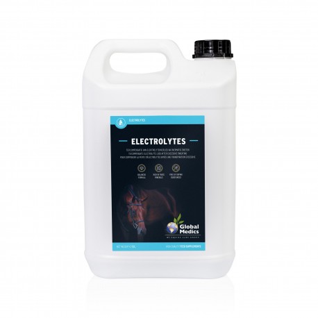 Electrolytes - Liquid 5 L Global Medics