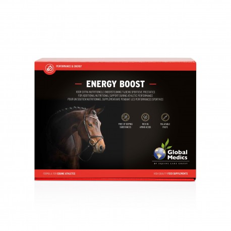 Energy Boost 6 x 60 gr Global Medics