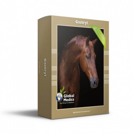 Gastryl 10 x 60 gr Global Medics