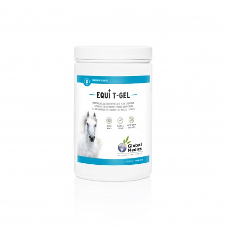 Equi T-Gel 2 L Global Medics