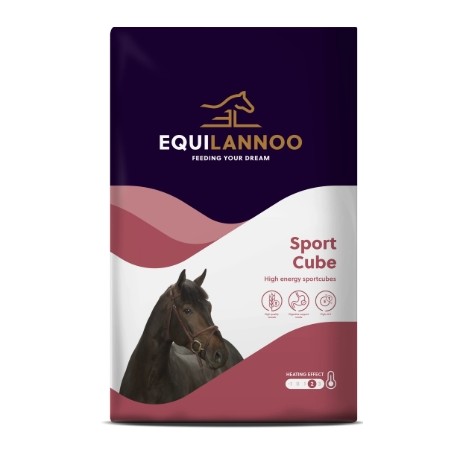 Sport Cube 20 kg Equilannoo