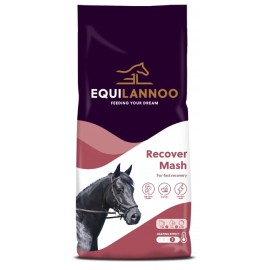 Active Cube 20 kg Equilannoo