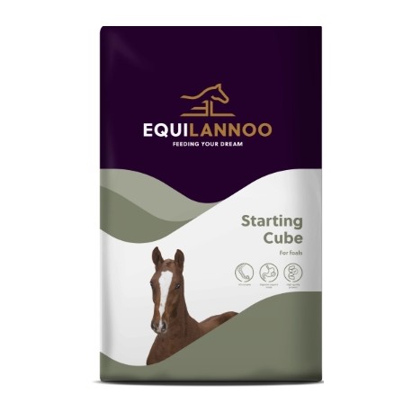 Starting Cube 20 kg Equilannoo