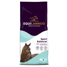Sport Balancer 20 kg Equilannoo